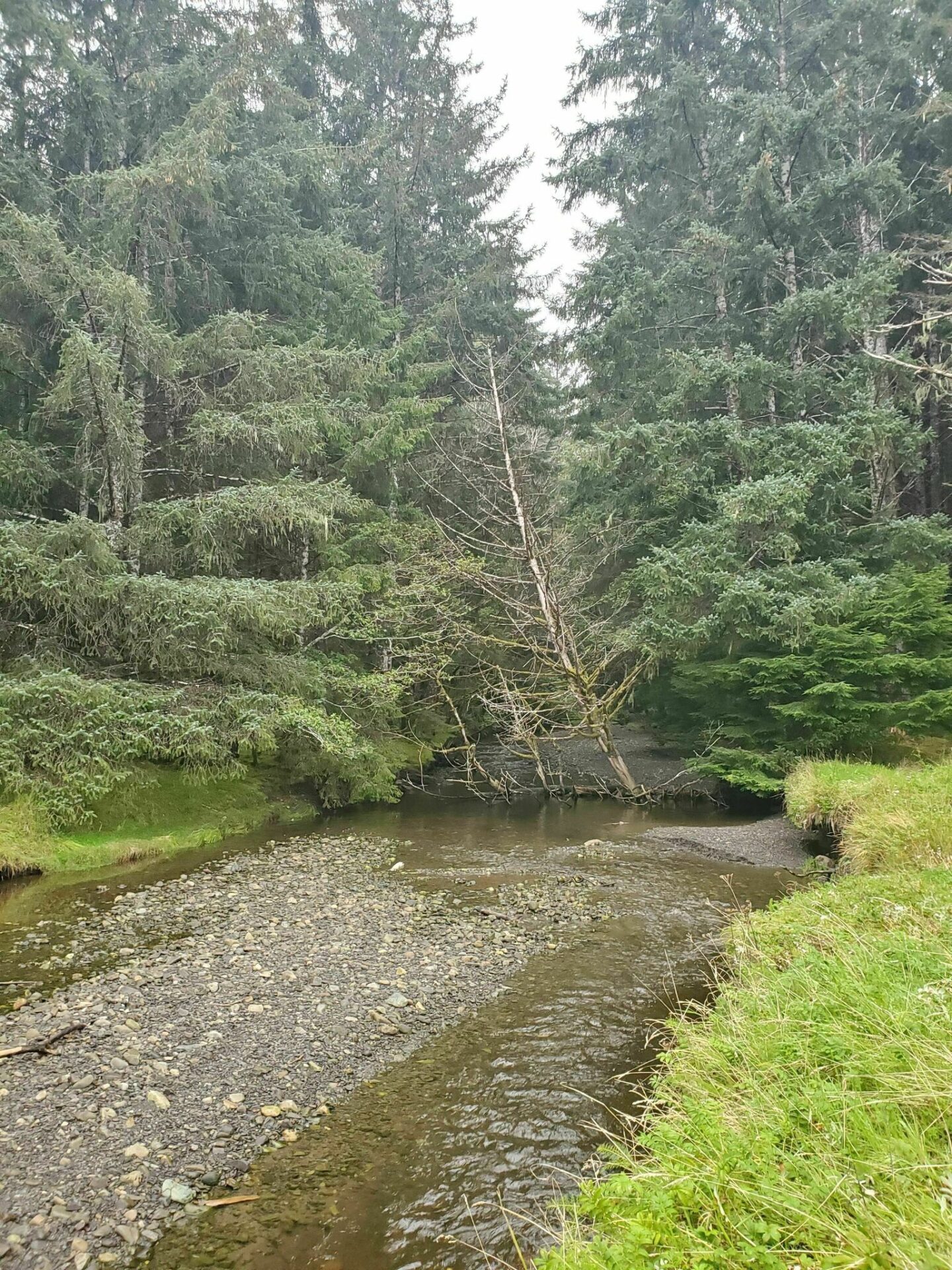 tarundl-creek